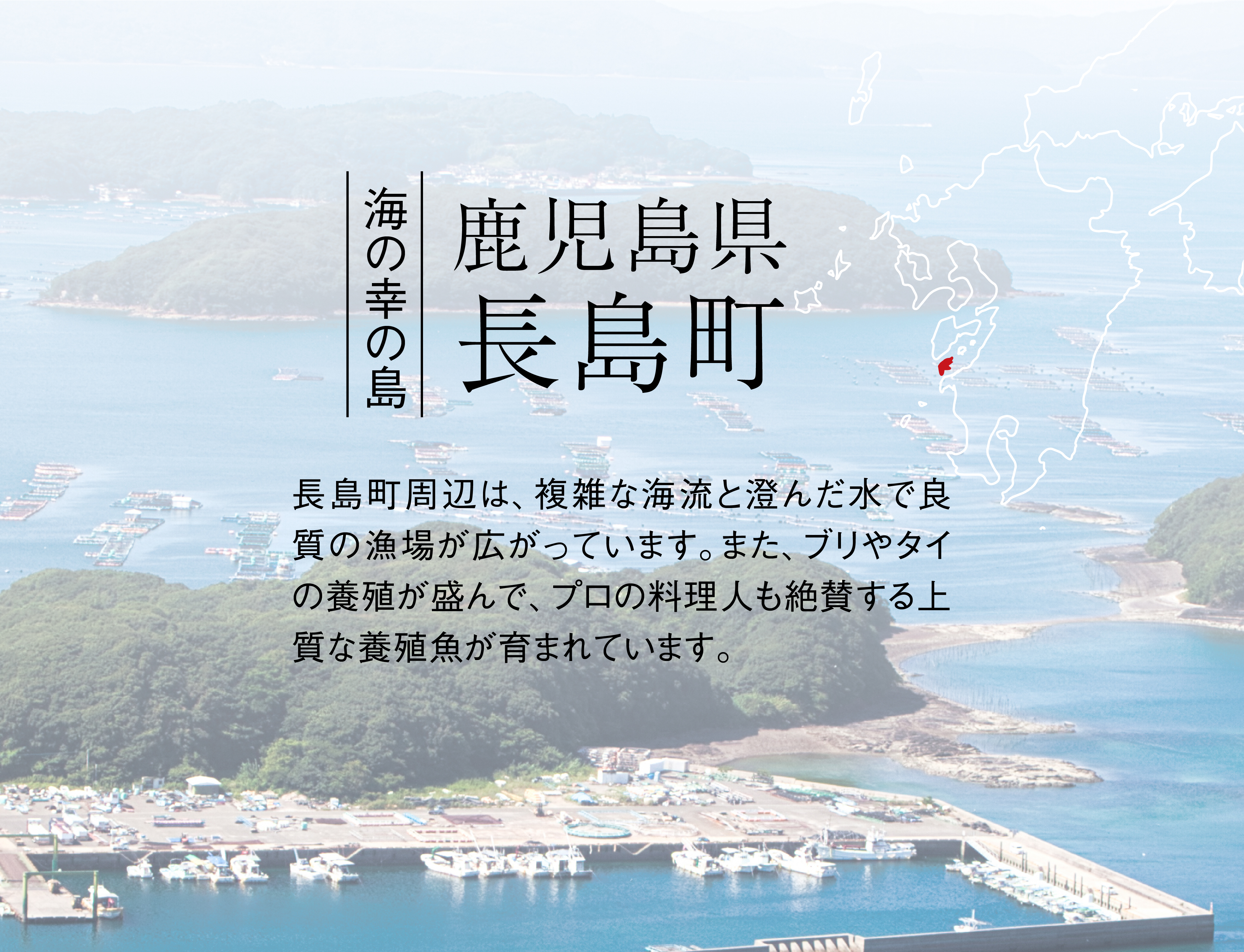 海の幸の島、鹿児島県、長島町。長島町周辺は、複雑な海流と澄んだ水で良質の漁場が広がっています。また、ブリやタイの養殖が盛んで、プロの料理人も絶賛する上質な養殖魚が育まれています。