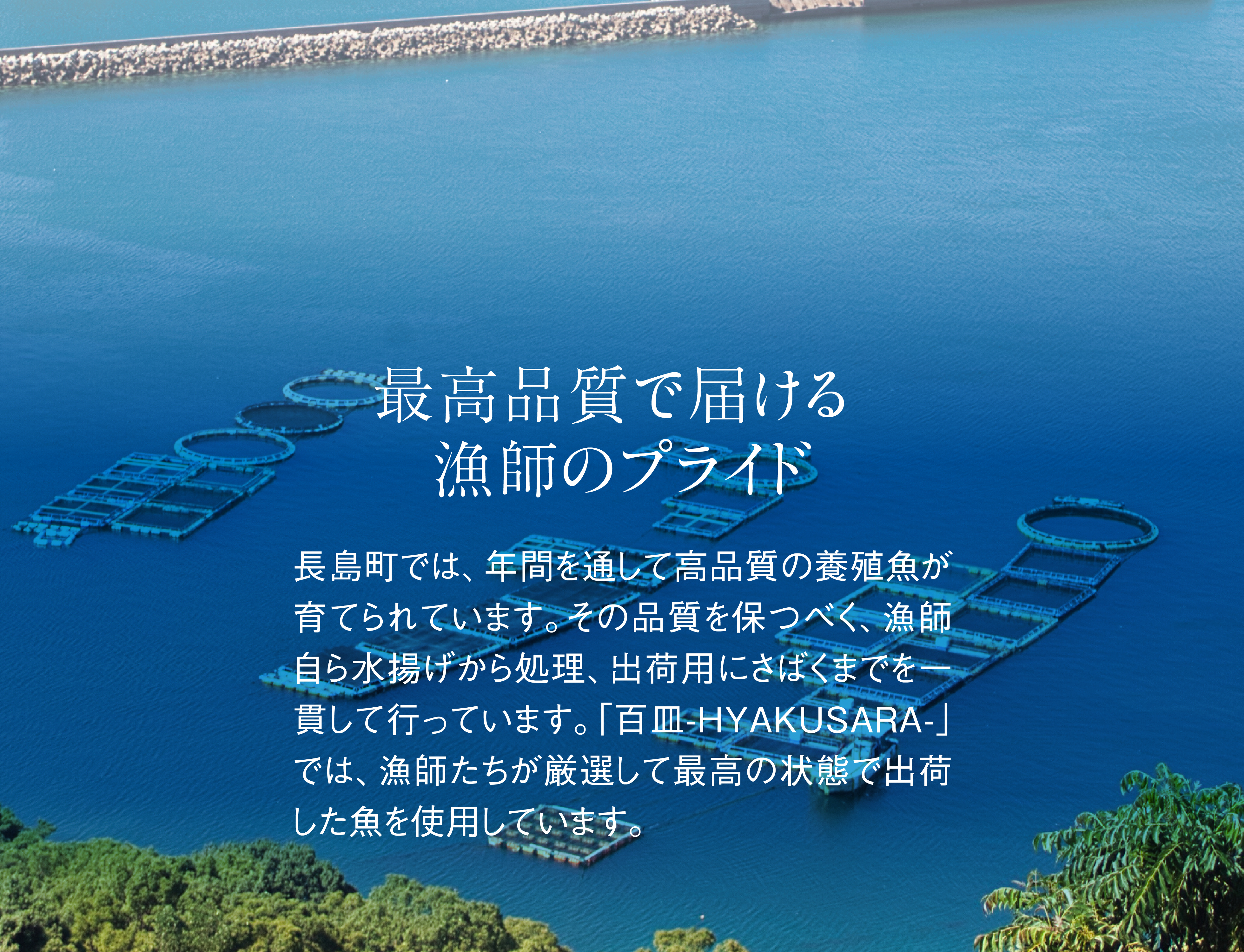 最高品質で届ける、漁師のプライド。島では、年間を通して高品質の養殖魚が育てられています。その品質を保つべく、漁師自ら水揚げから処理、出荷用にさばくまでを一貫して行っています。「百皿-HYAKUSARA-」では、漁師たちが厳選して最高の状態で出荷した魚を使用しています。