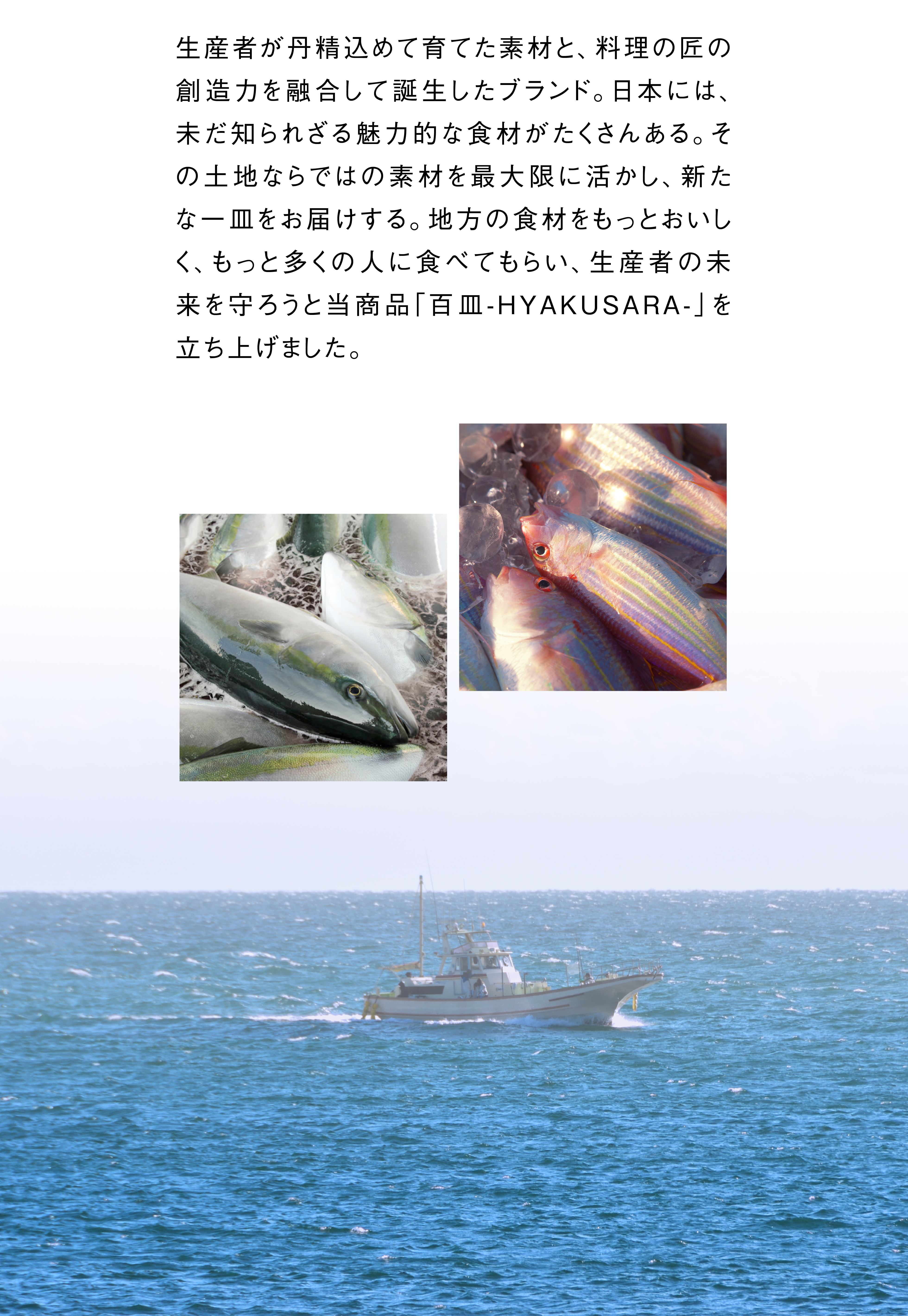 獅子島には、学校は中学校までしかなく、若者たちは卒業後に島を離れることが多く、過疎化と高齢化が課題となっています。島自慢の魚をもっとおいしく、もっと多くの人に食べてもらい、漁業で島の未来を守ろうと当商品「百皿-HYAKUSARA-」を立ち上げました。｢百皿｣という名前には、島で100年続いてきた漁業が100年先まで続くよう、｢百の皿｣を作っていくという願いがあります。